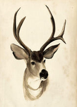 Load image into Gallery viewer, Modern Animal Painting Cute Deers Canvas Painting Hand-Draw Print Poster Wall Picture On Canvas for Home Decoration Frameless - SallyHomey Life's Beautiful