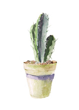 Load image into Gallery viewer, Potted plant Cactus Wall Art Canvas Painting Nordic Posters And Prints Scandinavian Art Wall Pictures For Living Room Home Decor - SallyHomey Life's Beautiful