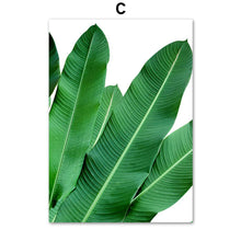Load image into Gallery viewer, Tropical Plants Monstera Banana Leaf Nordic Posters And Prints Wall Art Canvas Painting Wall Pictures For Living Room Decor - SallyHomey Life's Beautiful