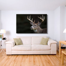 Load image into Gallery viewer, Modern Animals Posters and Prints Wall Art Canvas Painting Deer Pictures - SallyHomey Life's Beautiful