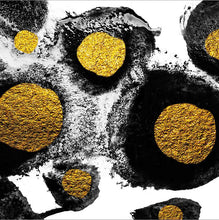 Load image into Gallery viewer, Glamour Abstract Artwork, Black And Gold Abstract Canvas Print, Posters and Prints Wall Decor Canvas Paintings for Living Room - SallyHomey Life's Beautiful