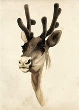 Load image into Gallery viewer, Modern Animal Painting Cute Deers Canvas Painting Hand-Draw Print Poster Wall Picture On Canvas for Home Decoration Frameless - SallyHomey Life's Beautiful