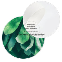 Load image into Gallery viewer, Tropical Monstera Fresh Big Leaf Wall Art Canvas Painting Nordic Posters And Prints Wall Pictures For Living Room Bedroom Decor - SallyHomey Life's Beautiful
