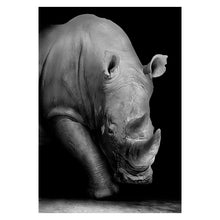 Load image into Gallery viewer, Canvas Painting Animal Wall Art Lion Elephant Deer Zebra Posters and Prints Wall Pictures for Living Room Decoration Home Decor - SallyHomey Life's Beautiful
