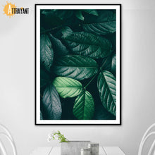 Load image into Gallery viewer, Tropical Monstera Green Flash Leaf Plant Wall Art Canvas Painting Nordic Posters And Prints Wall Pictures For Living Room Decor - SallyHomey Life's Beautiful