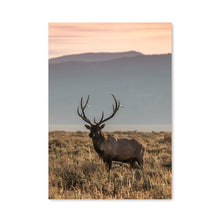 Load image into Gallery viewer, Scandinavian Poster Nordic Print Deer Horse Cattle Animal Wall Art Canvas Painting Wild Field Nature Picture Living Room Decor - SallyHomey Life's Beautiful