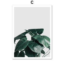 Load image into Gallery viewer, Fresh Green Big Leaves Tropical Plants Wall Art Canvas Painting Nordic Posters And Prints Wall Pictures For Living Room Decor - SallyHomey Life's Beautiful