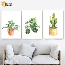Load image into Gallery viewer, Tropical Potted Plant Monstera Cactus Wall Art Canvas Painting Nordic Posters And Prints Wall Pictures For Living Room Decor - SallyHomey Life's Beautiful