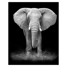Load image into Gallery viewer, Canvas Painting Animal Wall Art Lion Elephant Deer Zebra Posters and Prints Wall Pictures for Living Room Decoration Home Decor - SallyHomey Life's Beautiful