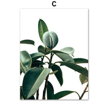Load image into Gallery viewer, Green Fresh Ferns Leaf Indian Rubber Tree Wall Art Canvas Painting Nordic Posters And Prints Wall Pictures For Living Room Decor - SallyHomey Life's Beautiful