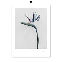 Load image into Gallery viewer, Pink Tulip Pineapple Paradise Bird Flower Wall Art Canvas Painting Nordic Posters And Prints Wall Pictures For Living Room Decor - SallyHomey Life's Beautiful
