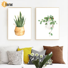 Load image into Gallery viewer, Tropical Potted Plant Monstera Cactus Wall Art Canvas Painting Nordic Posters And Prints Wall Pictures For Living Room Decor - SallyHomey Life's Beautiful