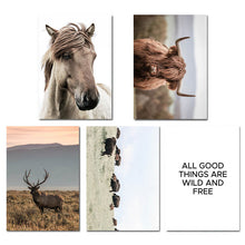 Load image into Gallery viewer, Scandinavian Poster Nordic Print Deer Horse Cattle Animal Wall Art Canvas Painting Wild Field Nature Picture Living Room Decor - SallyHomey Life's Beautiful