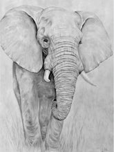 Load image into Gallery viewer, Modern Abstract Animal Posters And Prints Wall Art Canvas Painting Cow Pictures For Living Room Wall Home Decoration Frameless - SallyHomey Life's Beautiful