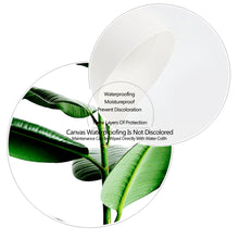 Load image into Gallery viewer, Green Fresh Ferns Leaf Indian Rubber Tree Wall Art Canvas Painting Nordic Posters And Prints Wall Pictures For Living Room Decor - SallyHomey Life's Beautiful