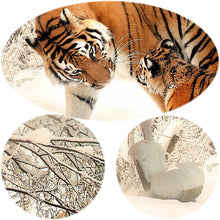 Load image into Gallery viewer, Animal Posters and Prints Wall Art Canvas Painting Flowers Two Tigers in the Snow Pictures for Living Room Home Decor No Frame - SallyHomey Life's Beautiful