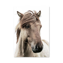Load image into Gallery viewer, Scandinavian Poster Nordic Print Deer Horse Cattle Animal Wall Art Canvas Painting Wild Field Nature Picture Living Room Decor - SallyHomey Life's Beautiful
