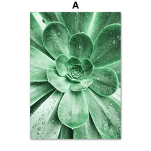 Load image into Gallery viewer, Nature Green Leaves Succulent Plants Wall Art Canvas Painting Nordic Posters And Prints Wall Pictures For Living Room Decor - SallyHomey Life's Beautiful
