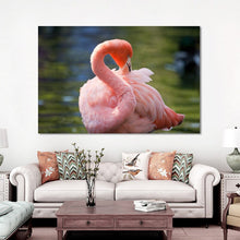 Load image into Gallery viewer, Animals Posters and Prints Wall Art Canvas Painting Beautiful Flamingos Decorative Pictures for Living Room Home Decor No Frame - SallyHomey Life's Beautiful