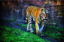Load image into Gallery viewer, Modern Animals Posters and Prints Wall Art Canvas Painting Panda Lion Leopard Deer Tiger Horse Pictures for Living Room Decor - SallyHomey Life's Beautiful
