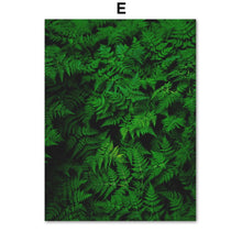 Load image into Gallery viewer, Green Fresh Ferns Leaf Indian Rubber Tree Wall Art Canvas Painting Nordic Posters And Prints Wall Pictures For Living Room Decor - SallyHomey Life's Beautiful