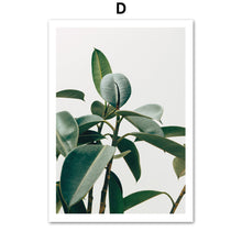 Load image into Gallery viewer, Tropical Banana Leaf Rubber Tree Wall Art Canvas Painting Nordic Posters And Prints Wall Pictures For Living Room Home Decor - SallyHomey Life's Beautiful
