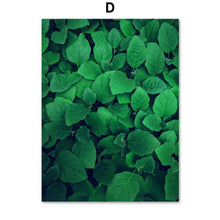 Load image into Gallery viewer, Green Fresh Ferns Leaf Indian Rubber Tree Wall Art Canvas Painting Nordic Posters And Prints Wall Pictures For Living Room Decor - SallyHomey Life's Beautiful