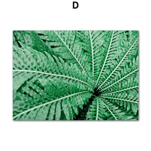 Load image into Gallery viewer, Nature Green Leaves Succulent Plants Wall Art Canvas Painting Nordic Posters And Prints Wall Pictures For Living Room Decor - SallyHomey Life's Beautiful