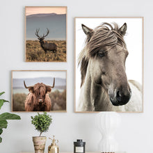 Load image into Gallery viewer, Scandinavian Poster Nordic Print Deer Horse Cattle Animal Wall Art Canvas Painting Wild Field Nature Picture Living Room Decor - SallyHomey Life's Beautiful