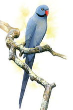 Load image into Gallery viewer, Modern Animals Decorative Painting Birds Posters and Prints on Canvas Wall Art Paintings for Living Room Home Decor No Frame - SallyHomey Life's Beautiful