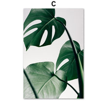 Load image into Gallery viewer, Monstera Rubber Tree Plant Leaves Hand Wall Art Canvas Painting Nordic Posters And Prints Wall Pictures For Living Room Decor - SallyHomey Life's Beautiful