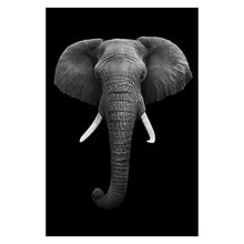 Load image into Gallery viewer, Canvas Painting Animal Wall Art Lion Elephant Deer Zebra Posters and Prints Wall Pictures for Living Room Decoration Home Decor - SallyHomey Life's Beautiful