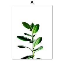 Load image into Gallery viewer, Green Fresh Ferns Leaf Indian Rubber Tree Wall Art Canvas Painting Nordic Posters And Prints Wall Pictures For Living Room Decor - SallyHomey Life's Beautiful