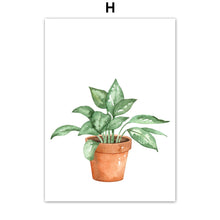 Load image into Gallery viewer, Tropical Potted Plant Monstera Cactus Wall Art Canvas Painting Nordic Posters And Prints Wall Pictures For Living Room Decor - SallyHomey Life's Beautiful