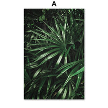Load image into Gallery viewer, Nature Tropical Palm Leaf Monstera Wall Art Canvas Painting Nordic Posters And Prints Wall Pictures For Living Room Home Decor - SallyHomey Life's Beautiful