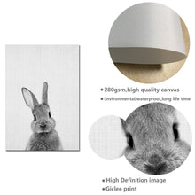 Load image into Gallery viewer, Black White Rabbit Wall Art Canvas Posters and Prints Minimalist Animal Paintings Wall Picture for Living Room Modern Home Decor - SallyHomey Life's Beautiful
