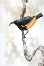 Load image into Gallery viewer, Modern Animals Decorative Painting Birds Posters and Prints on Canvas Wall Art Paintings for Living Room Home Decor No Frame - SallyHomey Life's Beautiful