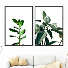 Load image into Gallery viewer, Green Fresh Ferns Leaf Indian Rubber Tree Wall Art Canvas Painting Nordic Posters And Prints Wall Pictures For Living Room Decor - SallyHomey Life's Beautiful