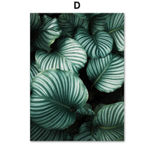 Load image into Gallery viewer, Fresh Green Big Leaves Tropical Plants Wall Art Canvas Painting Nordic Posters And Prints Wall Pictures For Living Room Decor - SallyHomey Life's Beautiful