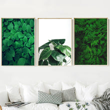 Load image into Gallery viewer, Green Fresh Ferns Leaf Indian Rubber Tree Wall Art Canvas Painting Nordic Posters And Prints Wall Pictures For Living Room Decor - SallyHomey Life's Beautiful