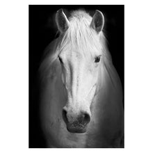 Load image into Gallery viewer, Canvas Painting Animal Wall Art Lion Elephant Deer Zebra Posters and Prints Wall Pictures for Living Room Decoration Home Decor - SallyHomey Life's Beautiful