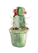 Load image into Gallery viewer, Potted plant Cactus Wall Art Canvas Painting Nordic Posters And Prints Scandinavian Art Wall Pictures For Living Room Home Decor - SallyHomey Life's Beautiful
