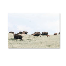 Load image into Gallery viewer, Scandinavian Poster Nordic Print Deer Horse Cattle Animal Wall Art Canvas Painting Wild Field Nature Picture Living Room Decor - SallyHomey Life's Beautiful