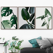 Load image into Gallery viewer, Monstera Rubber Tree Plant Leaves Hand Wall Art Canvas Painting Nordic Posters And Prints Wall Pictures For Living Room Decor - SallyHomey Life's Beautiful