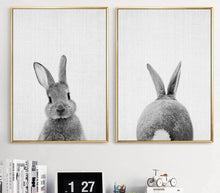 Load image into Gallery viewer, Black White Rabbit Wall Art Canvas Posters and Prints Minimalist Animal Paintings Wall Picture for Living Room Modern Home Decor - SallyHomey Life's Beautiful