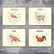 Load image into Gallery viewer, Flamingo Fox Sloth Sheep Animal Anatomy Wall Art Canvas Painting Nordic Posters And Prints Wall Pictures For Living Room Decor - SallyHomey Life's Beautiful