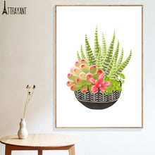 Load image into Gallery viewer, Tropical Succulents Cactus Aloe Flower Wall Art Canvas Painting Nordic Posters And Prints Wall Pictures For Living Room Decor - SallyHomey Life's Beautiful