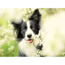 Load image into Gallery viewer, DIY 5D Diamond Painting Dog Cross Stitch Diamond Embroidery Sale Animal Mosaic Rhinestones Pictures Full Round Drill Home Decor