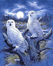 Load image into Gallery viewer, 5D Eagle Diamond Painting Owl&dragon Cross Stitch Animal Diamond Embroidery Full Round Drill Wall Art Home Decor Gift - SallyHomey Life's Beautiful