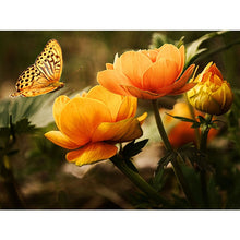 Load image into Gallery viewer, DIY 5D Diamond Painting Butterfly Flower Full Round Rhinestone Diamond Embroidery Animal Mosaic Cross Stitch Kits Decor Home